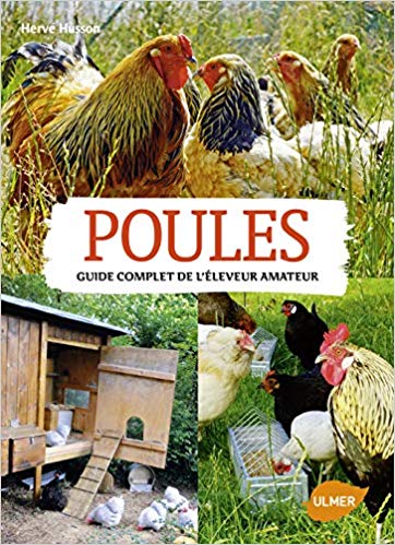 Comment élever des poules pondeuses pour avoir des œufs frais