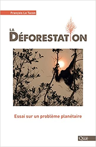 La déforestation : 4 actions pour lutter contre dans le monde