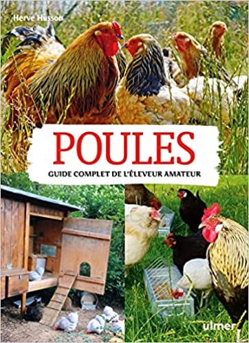 œufs de poule, important de savoir comment bien les choisir