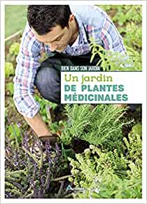 plantes medicinales - plantes médicinales, les 5 meilleures à cultiver dans votre jardin