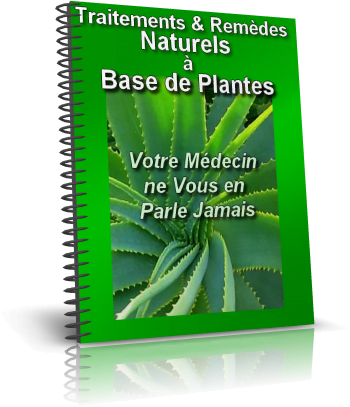 1TP Cover2