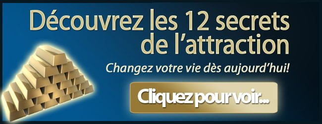 1TPE ATTRACTION banniere_loi600x231
