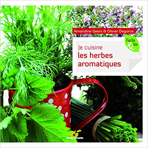 10 plantes aromatiques dites les simples à cultiver chez vous