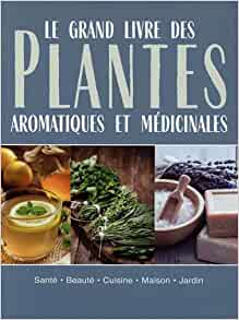 10 plantes aromatiques dites les simples à cultiver chez vous