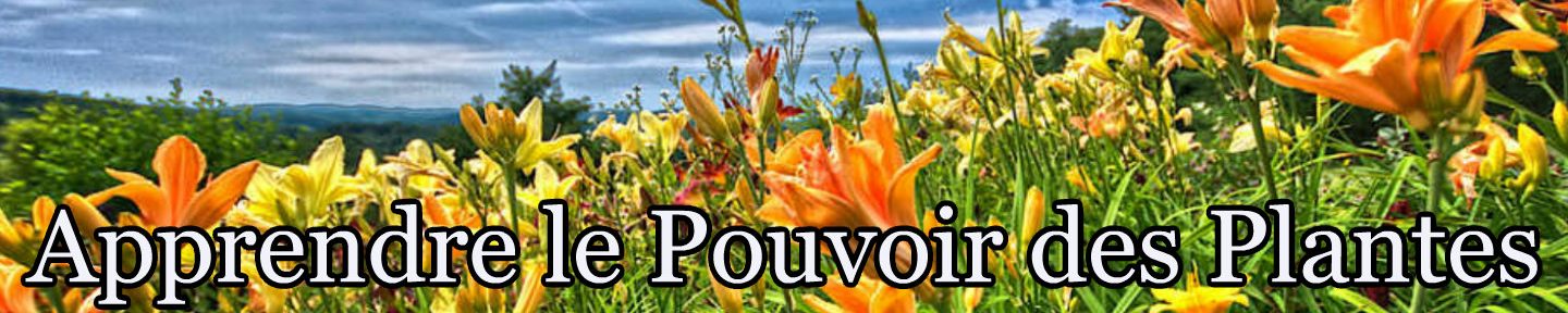 Le Pouvoir des Plantes