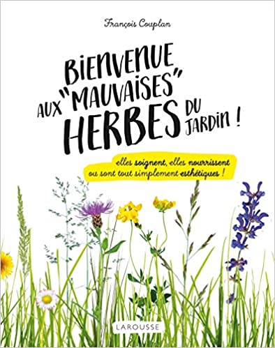 Plantes sauvages médicinales à cueillir en balade à la campagne.